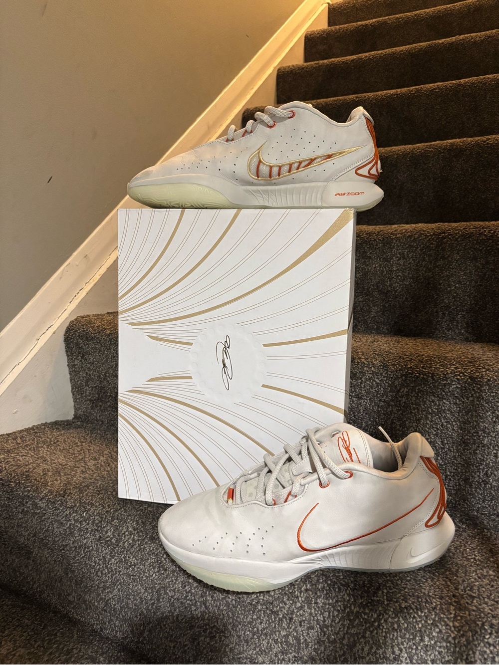Nike LeBron XXI 21 Akoya Light Bone with box authentic